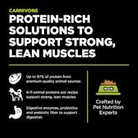Protein-rich solutions to support strong, lean muscles