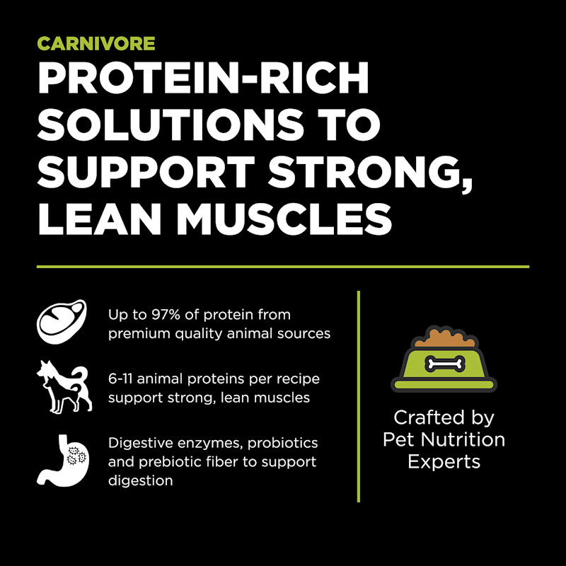 Protein-rich solutions to support strong, lean muscles