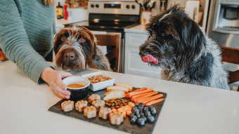 Two dogs with snacks on cutting board