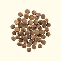 Gather Endless Valley Vegan Recipe for Adult Dogs kibble