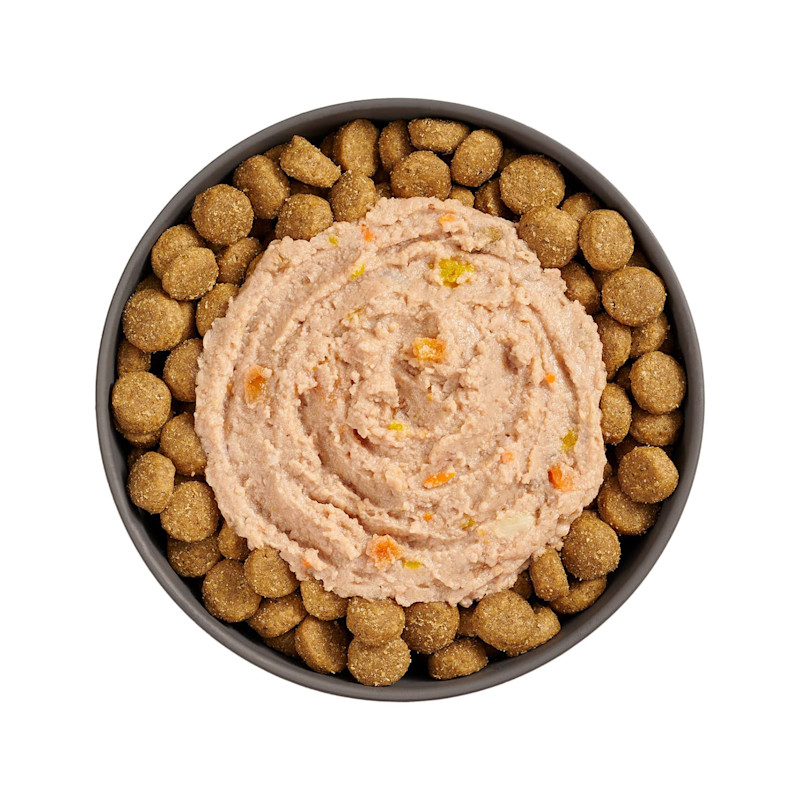 Bowl of kibble topped with Go! Booster Digestive Health Chicken + Duck Pâté for dogs