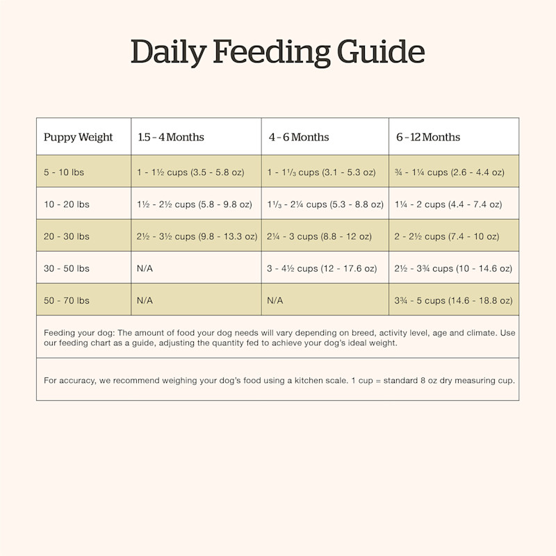 Now Fresh Puppy Recipe dog food feeding guide