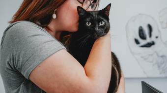 Black cat being snuggled by owner