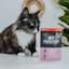 Cat with Go! Booster Digestive Health Tuna + Salmon cat food topper pouch