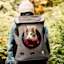 Cat peeking from owner's backpack hiking