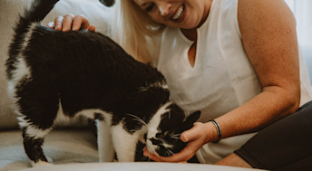Cat on couch getting scratched by owner