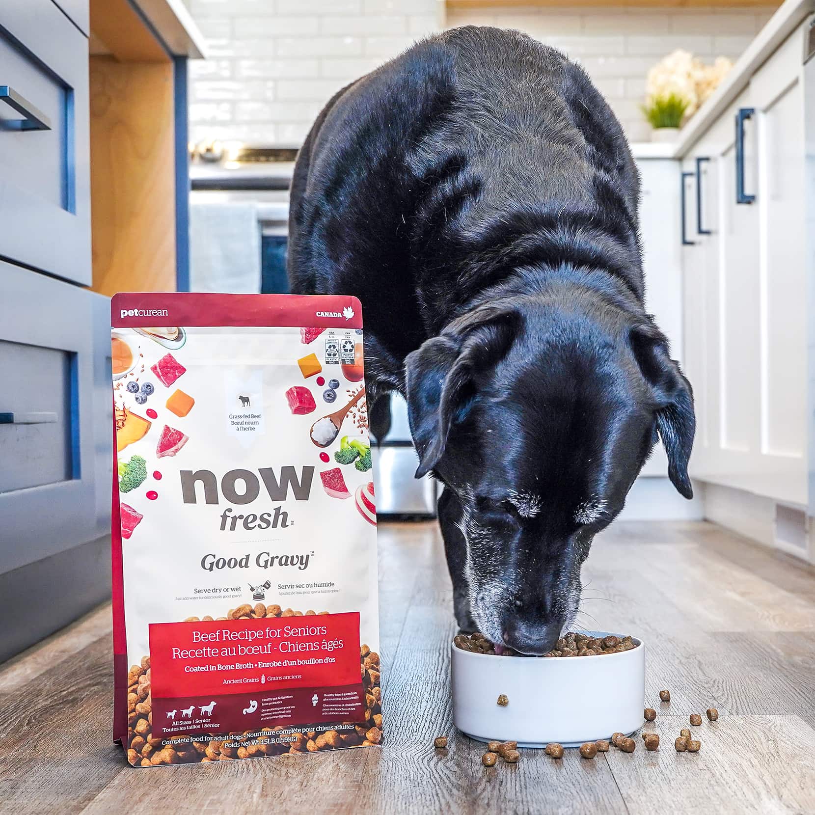Good Gravy Beef Coated in Bone Broth for Senior Dogs | Now Fresh