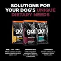 Explore our other solutions for your dog's unique dietary needs