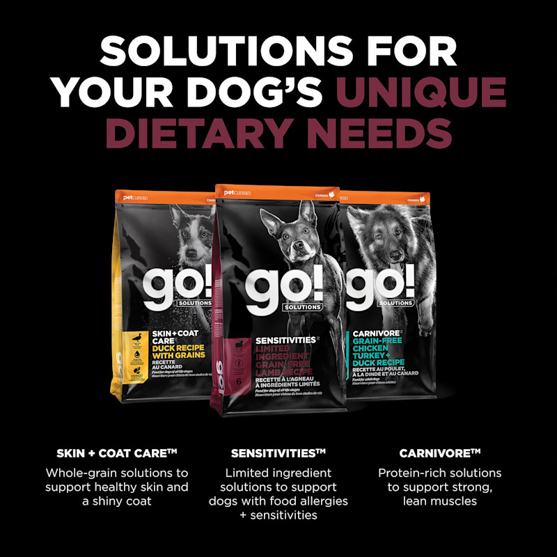 Explore our other solutions for your dog's unique dietary needs