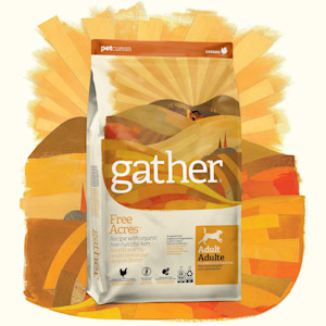 Gather Free Acres kibble for dogs