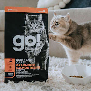 Cat pawing at bag of Go! Solutions Skin + Coat Care Salmon dry cat food
