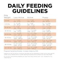 Go! Solutions Skin + Coat Care Salmon Recipe with Grains dog food feeding guidelines