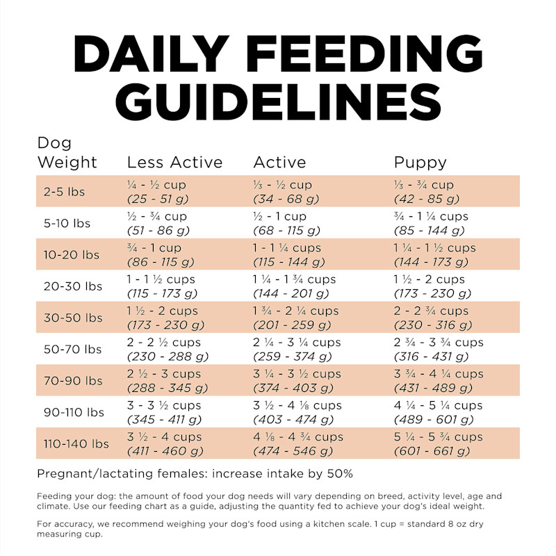 Go! Solutions Skin + Coat Care Salmon Recipe with Grains dog food feeding guidelines