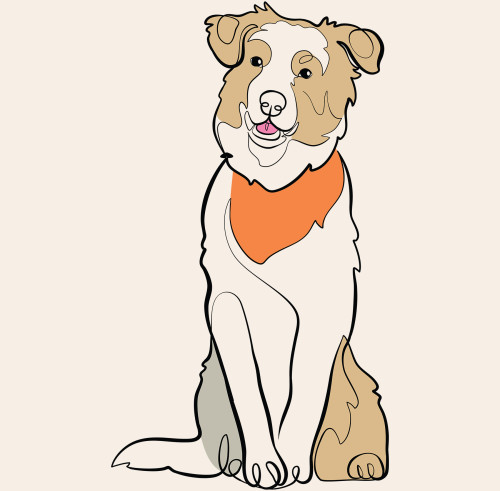 Orange dog illustration
