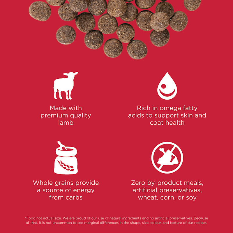 Made with premium-quality lamb, rich in omega fatty acids, with whole grains, and zero by-product meals