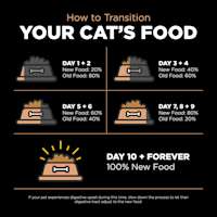 Transition your cat's food gradually over a 10-day period to avoid digestive upset