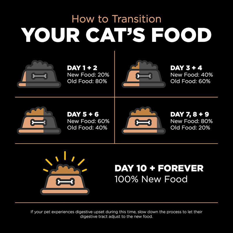 Transition your cat's food gradually over a 10-day period to avoid digestive upset