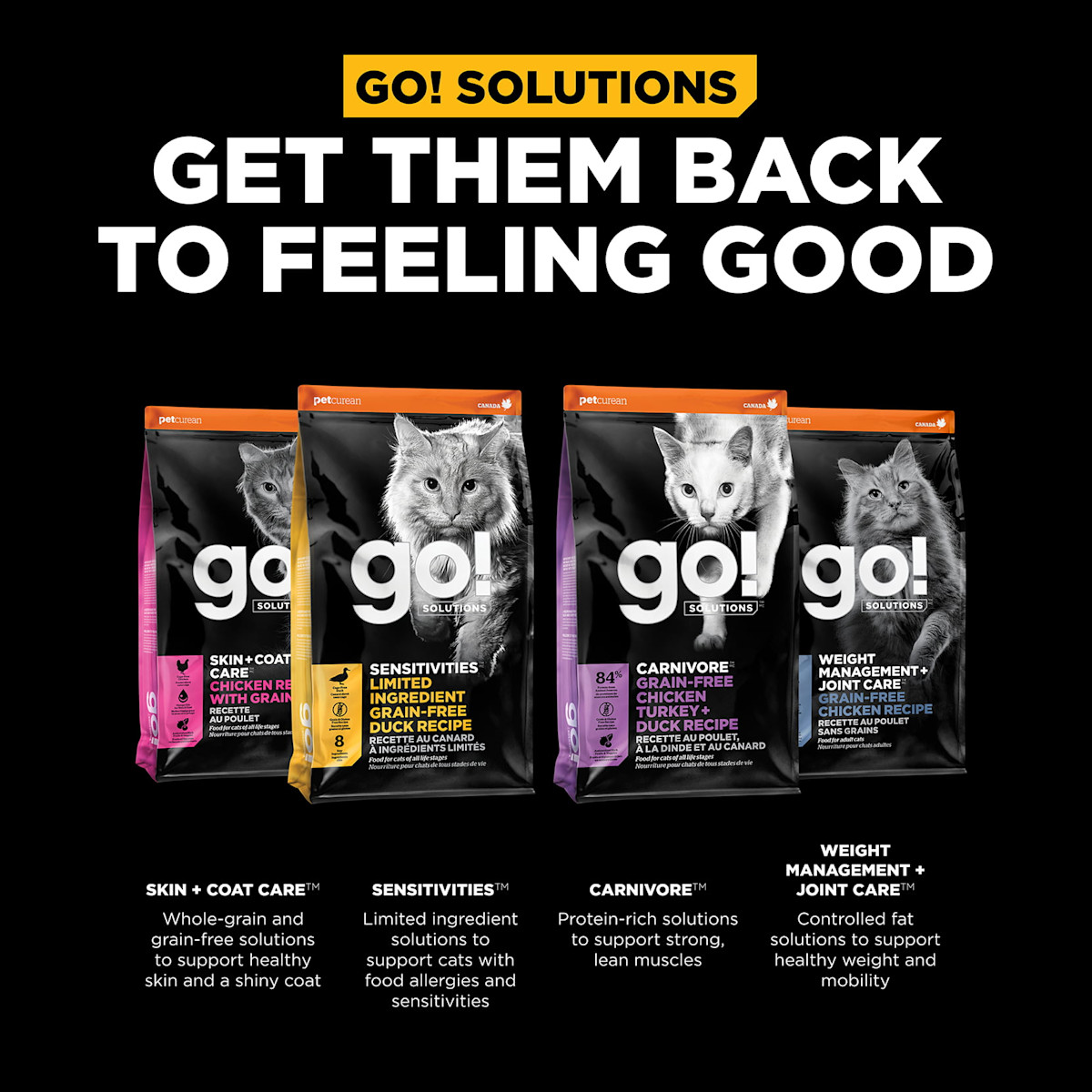 Get them back to feeling good with our other cat food product lines