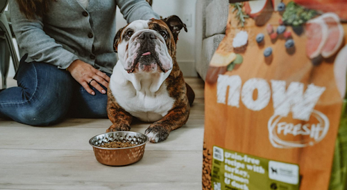 Bulldog with owner and bowl of NOW FRESH