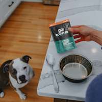 Pitbull dog looking at counter with Go! Solutions Booster Tranquility pouch