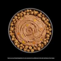 Go! Solutions Booster Digestive Health Tuna + Salmon Pâté food topper on kibble