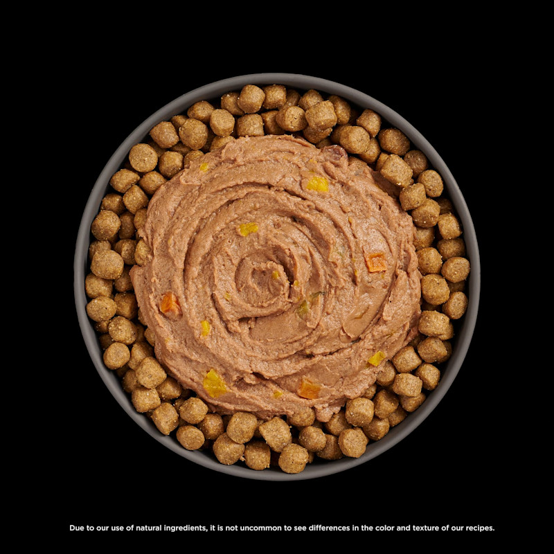 Go! Solutions Booster Digestive Health Tuna + Salmon Pâté food topper on kibble