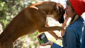 Boxer dog with owner holding GO! SOLUTIONS Tetra Pak