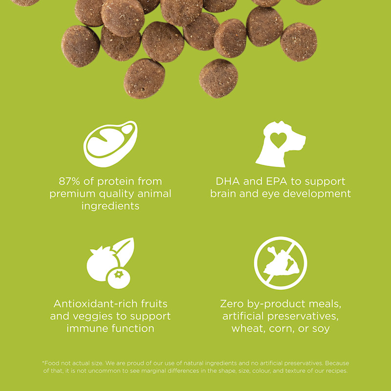 87% of protein from animal ingredients, DHA and EPA to support brain and eye development, antioxidant-rich ingredients, and zero by-product meals