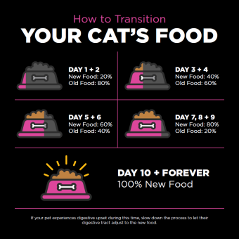 Food transition guide for cats