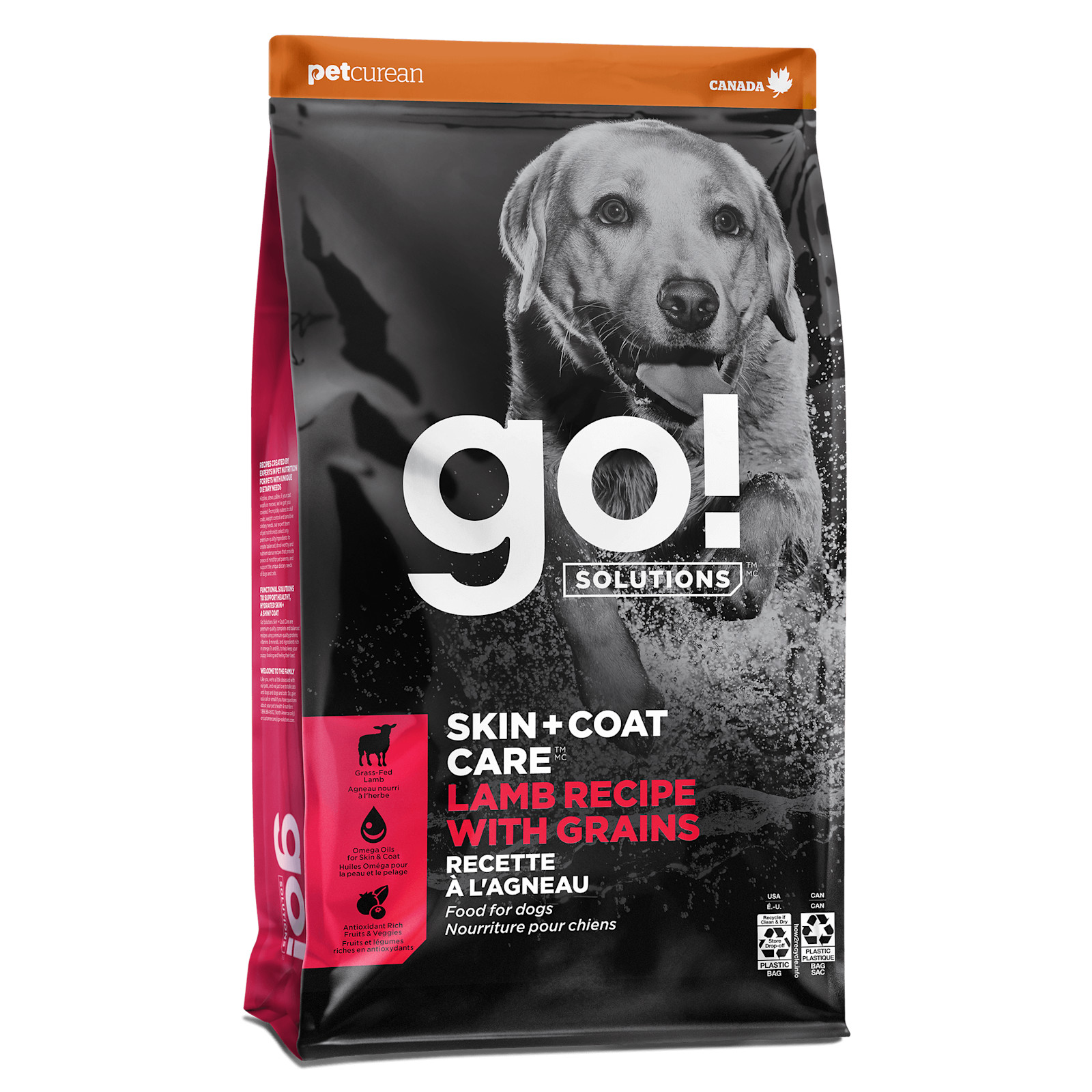 Go Solutions Skin Coat Care Lamb Recipe with Grains for Dogs