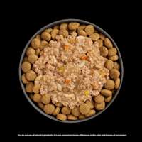 Go! Solutions Booster Digestive Health Chicken + Lamb food topper on kibble