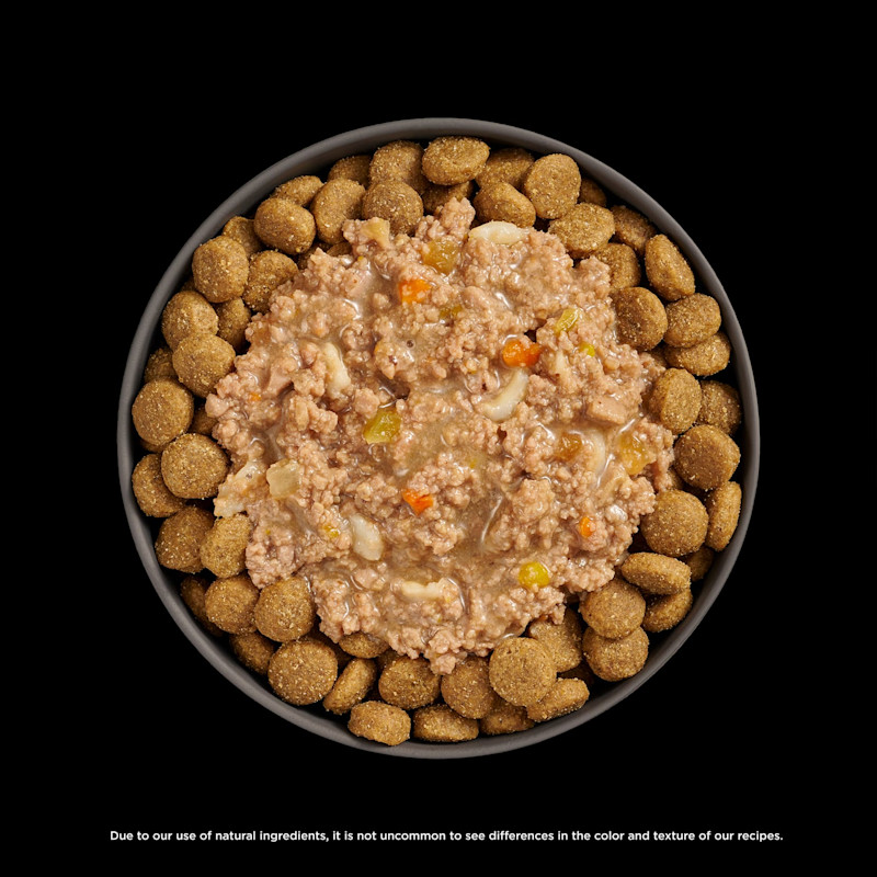 Go! Solutions Booster Digestive Health Chicken + Lamb food topper on kibble