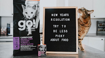 Cat on counter with Go! Solutions kibble and wet food and board reading "New Year's Resolution Try to Be Less Picky About Food"