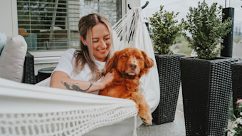 Duck Tolling Retriever in hammock with owner