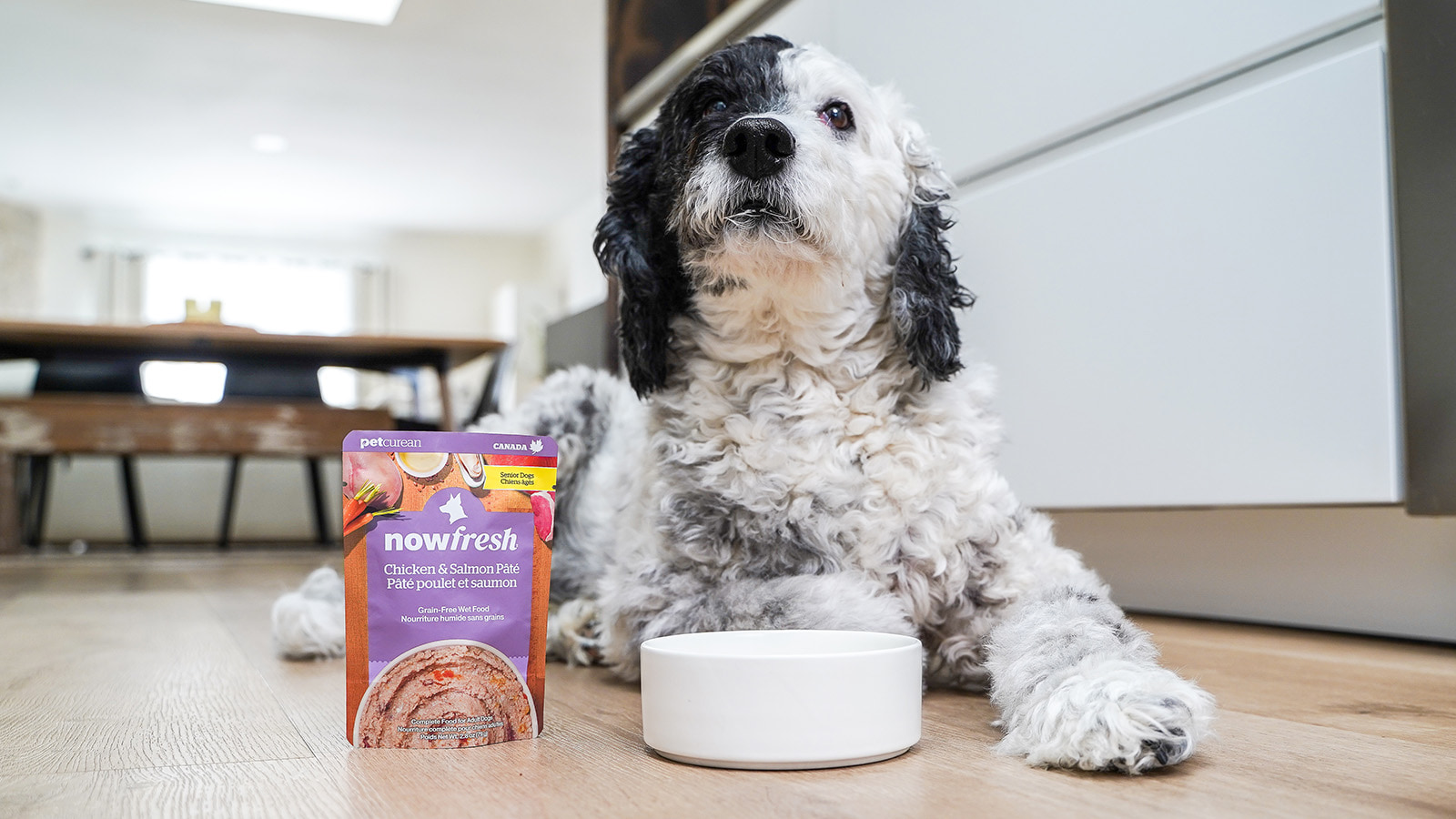 Chicken & Salmon Pâté Wet Food for Senior Dogs | Now Fresh