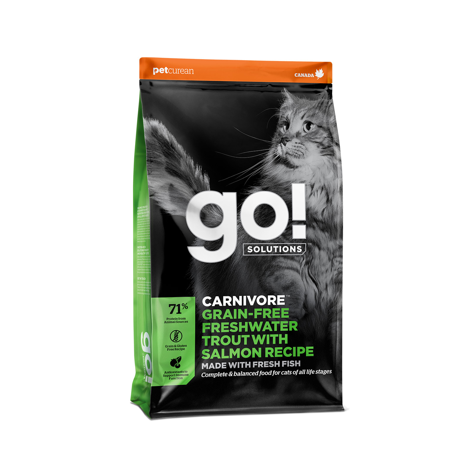 Go! Solutions Carnivore מתכון טרוטה ממים מתוקים ללא גרעינים עם סלמון ללא דגנים