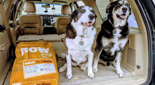 Two dogs sitting in back of van with NOW FRESH kibble bag