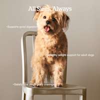 Supports good digestion, healthy weight support, and satisfies your dog's gravy cravings