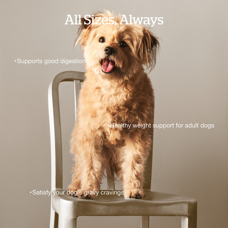 Supports good digestion, healthy weight support, and satisfies your dog's gravy cravings