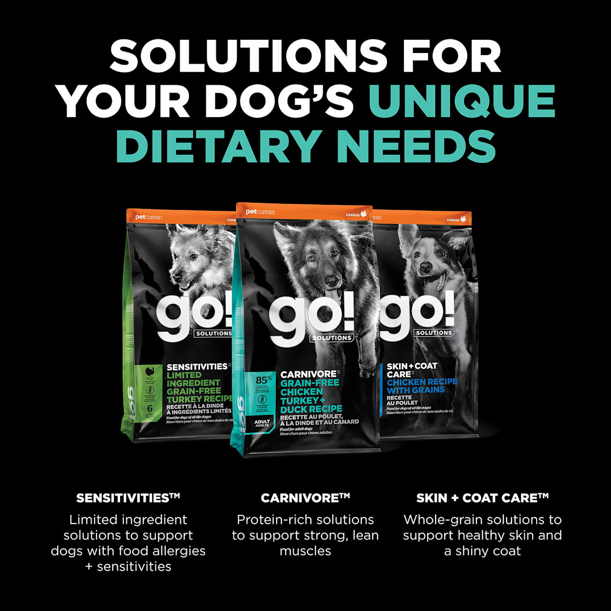 Explore our other dog food solutions