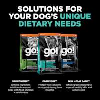 Explore our other dog food solutions