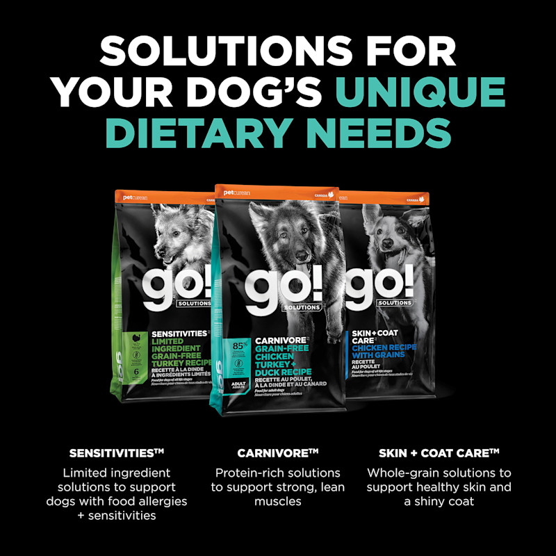 Explore our other dog food solutions