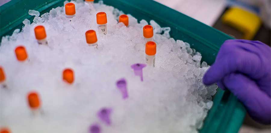 Fläschchen mit orangefarbenen und violetten Kappen in Eis.