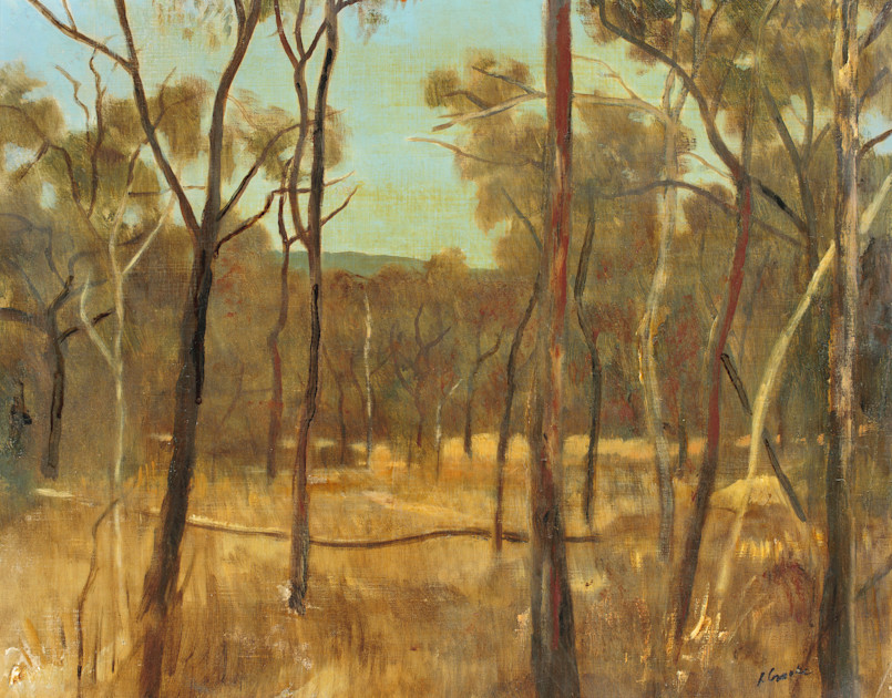 Ray Crooke Estate, North Queensland landscape — Artwork — Philip Bacon ...