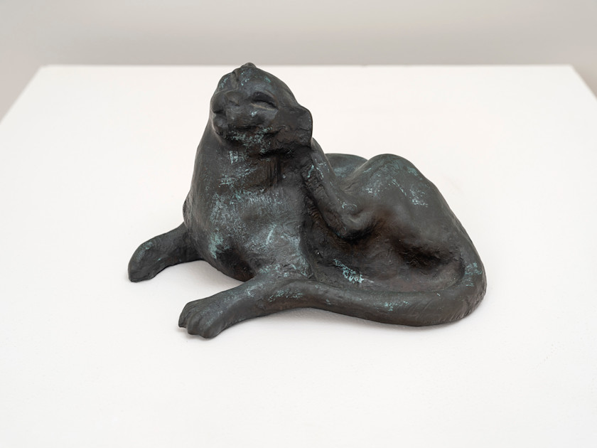 Arthur Murch, Cat scratching — Artwork — Philip Bacon Galleries