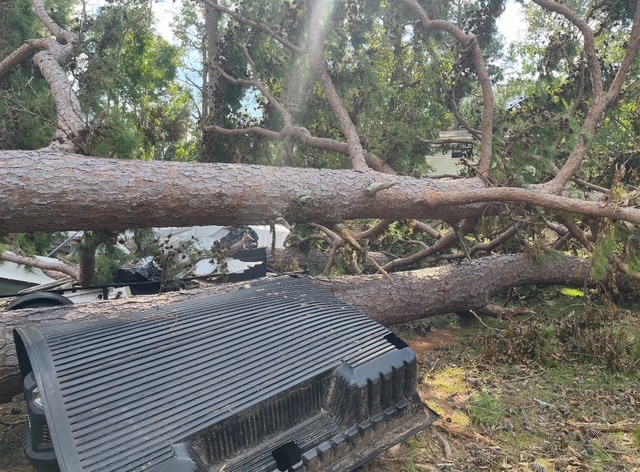 tree falls on house from storm