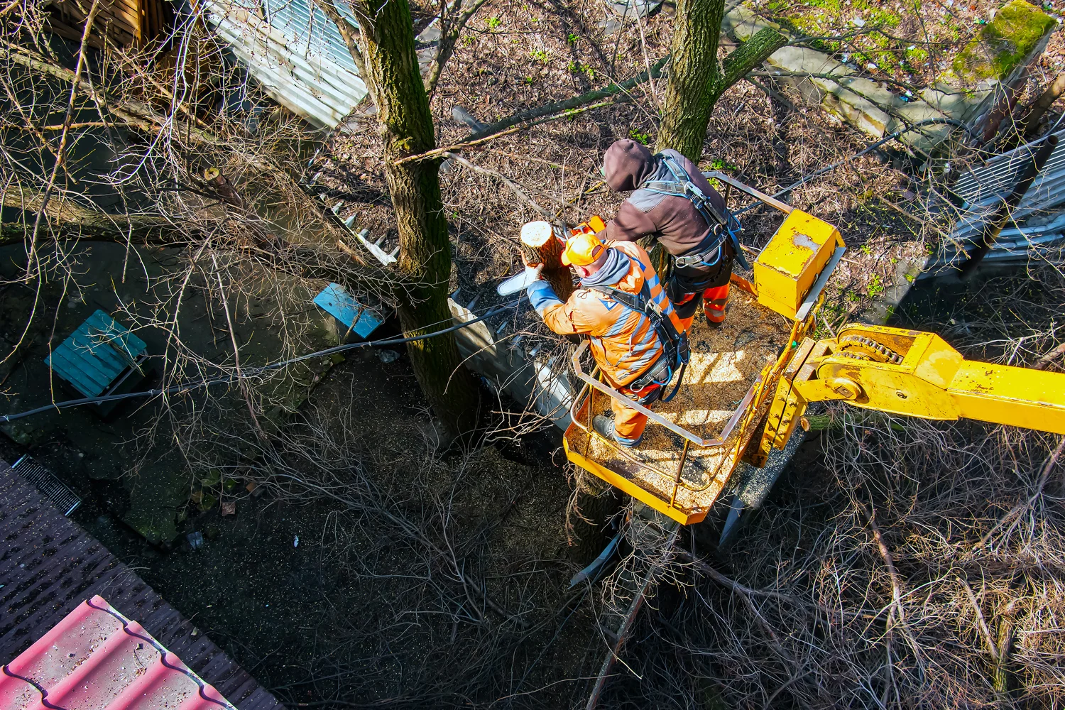 tree first responders