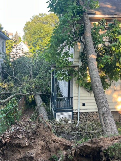 Minneapolis Storm Chaos: 24/7 Emergency Tree Removal & Recovery Guide for 2025