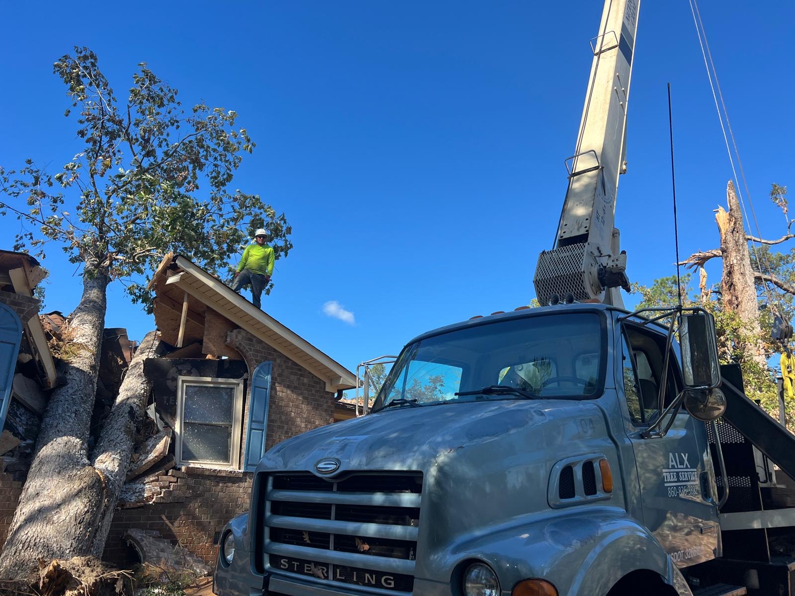 How Advanced Equipment Speeds Up Emergency Tree Removal