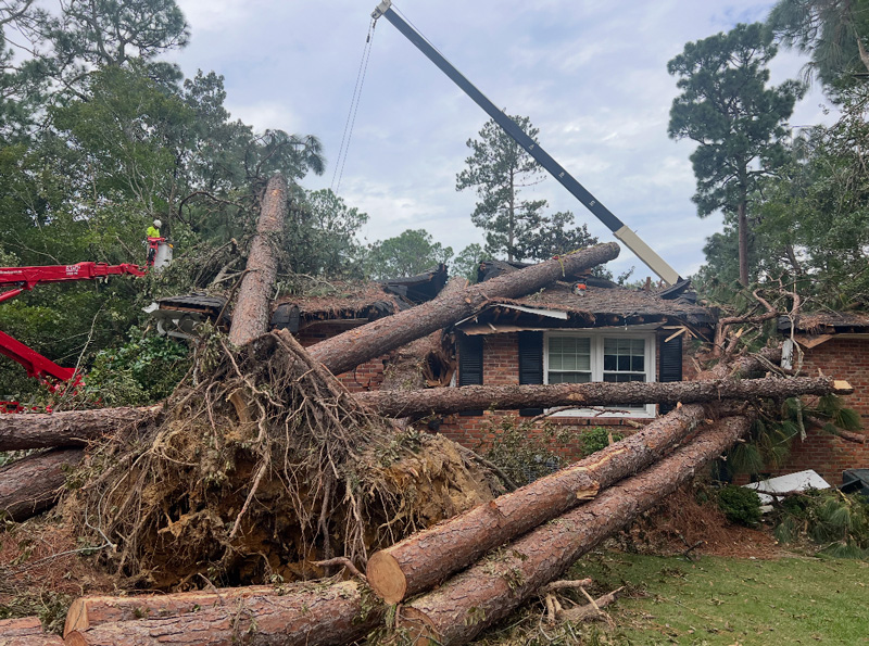 Mature trees surrounding a residential home being inspected before storm season